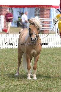 eddieausdemwesterwald_1290.jpg