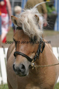 eddieausdemwesterwald_1293-2.jpg