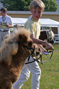 fleetwoodleybuttercup_0938-2.jpg