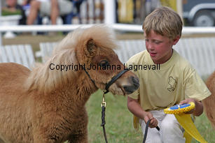 fleetwoodleybuttercup_1604-3.jpg