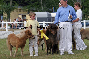 fleetwoodleybuttercup_1605-2.jpg