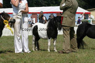halstocksonnyspenelopepitstop_1406.jpg