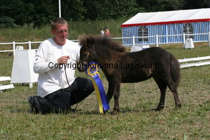hasseldalsgigolo_2170.jpg