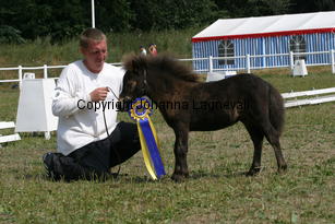 hasseldalsgigolo_2171.jpg