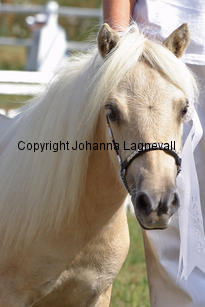 kiaraausdemwesterwald_1028-2.jpg