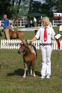 lillerosendalskajsa_1006.jpg
