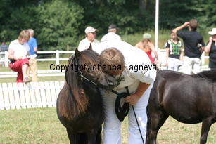 lyngholmschanel_1404.jpg