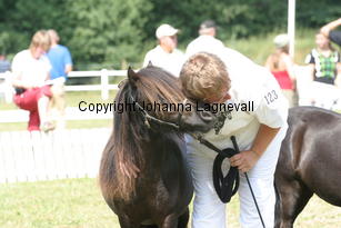lyngholmschanel_1405.jpg