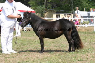 lyngholmschanel_1409.jpg