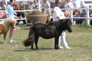 lyngholmschanel_2258.jpg