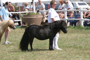 lyngholmschanel_2259.jpg