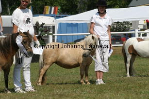 mandigold_1408.jpg