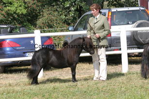 parlingtonrosamund_1378.jpg