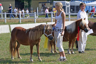 slattenscarisma_0968-2.jpg