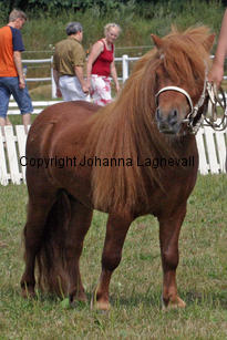 steinburgsorpheus_1291-2.jpg