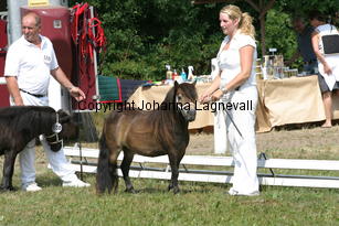 velvetdreamvdparkant_1376.jpg