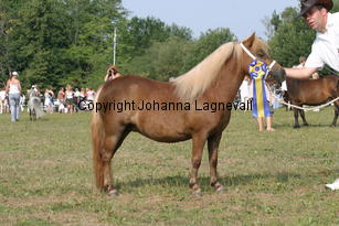 vyellavtheut_1790.jpg