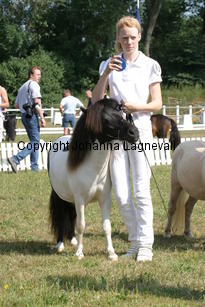 wildsymphonyvdbeatrixlaan_1026.jpg