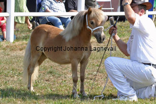 willekevdparkant_1017-2.jpg
