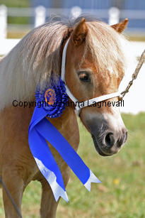 willekevdparkant_1035-2.jpg