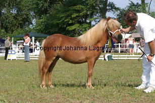 windevantheut_0971.jpg