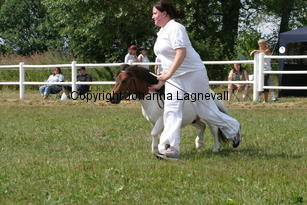 baileys_1445.jpg