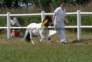 baileys_1449.jpg