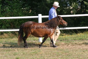 birchmoorvelvet_1713.jpg