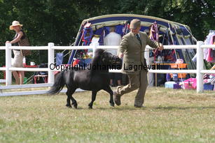 blackertorsolarblack_1446.jpg