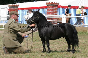 blackertorsolarblack_1458.jpg