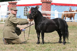 blackertorsolarblack_1459.jpg