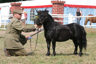 blackertorsolarblack_1460.jpg