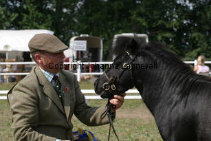 blackertorsolarblack_1461.jpg