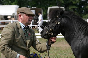 blackertorsolarblack_1462.jpg