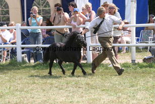 blackertorsolarblack_2265.jpg