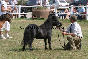 blackertorsolarblack_2271.jpg