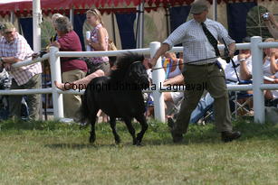 blackertorsolarblack_2273.jpg