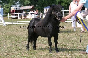blackertorsolarblack_2275.jpg