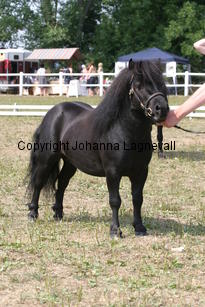 blackertorsolarblack_2277.jpg