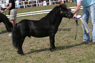 blackertorsolarblack_2278.jpg