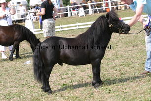 blackertorsolarblack_2279.jpg