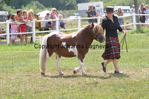 brinleyviewcamanchee_1424.jpg