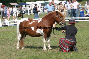 brinleyviewcamanchee_1427.jpg