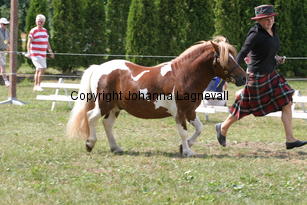 brinleyviewcamanchee_1429.jpg