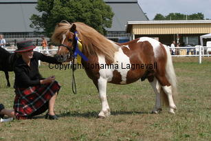 brinleyviewcamanchee_1438.jpg