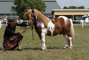 brinleyviewcamanchee_1439.jpg