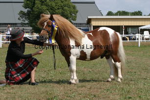 brinleyviewcamanchee_1441.jpg
