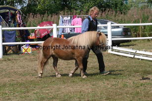 junibackensrasmus_1433.jpg