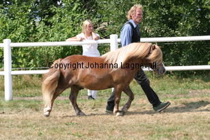 junibackensrasmus_1435.jpg