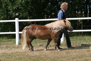 junibackensrasmus_1436.jpg